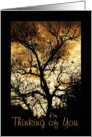 Thinking of You, tree silhouette card