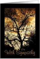 With Sympathy, tree silhouette card