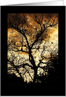 Blank Card, tree silhouette card