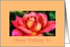 Birthday, Sis, pink & yellow rose card