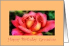 Birthday, Grandma, pink & yellow rose card