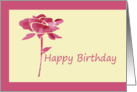 Birthday, any one, pink rose card