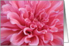 Bright, Pink Dahlia card
