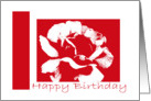 Birthday, Any One, White & Red Rose card