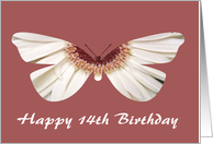 14th Birthday, White Butterfly card