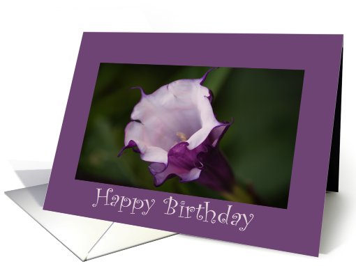 Birthday, Angel's Trumpet card (415245)