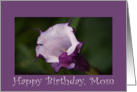 Birthday, Mom, Angel’s Trumpet card