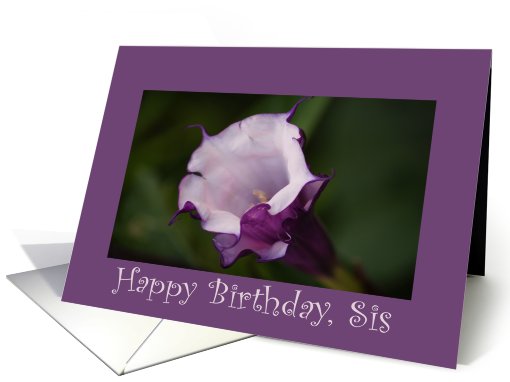 Birthday, Sis, Angel's Trumpet card (415252)