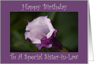 Birthday, Sister-in-Law, Angel’s Trumpet card