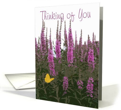 Thinking of You, Flowers & Butterfly card (446069)