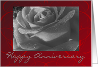 Happy Anniversary, black & white rose card