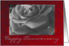 Happy Anniversary, black & white rose card