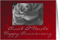 Aunt & Uncle, Happy Anniversary, black & white rose card