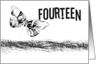 14th Birthday, black & white butterfly card