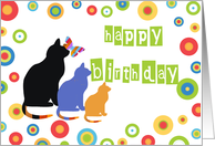 Birthday, cats &...