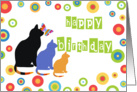 Birthday, cats & circles card