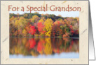 Birthday Grandson, Beauty of Autumn card