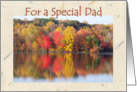 Birthday Dad, Beauty of Autumn card