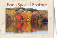 Birthday Brother, Beauty of Autumn card