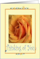 Thinking of You, yellow rose card