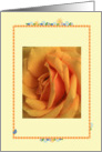 Blank Card, yellow rose card