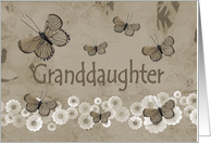 Birthday, Granddaughter, brown butterflies card