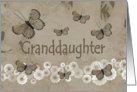 Birthday, Granddaughter, brown butterflies card