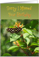 Belated Birthday, Striped butterfly on flower card