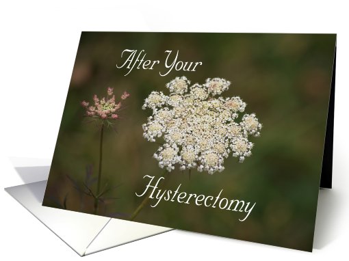 Hysterectomy Surgery, Queen Anne's Lace card (538621)