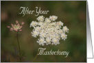 Mastectomy Surgey, Queen Anne’s Lace card