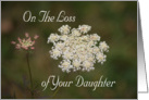 Loss of Daughter, Sympathy, Queen Anne’s Lace card