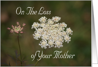 Loss of Mother, Sympathy, Queen Anne’s Lace card