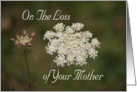 Loss of Mother, Sympathy, Queen Anne’s Lace card