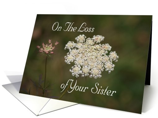 Loss of Sister, Sympathy, Queen Anne's Lace card (538676)