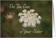 Loss of Sister, Sympathy, Queen Anne’s Lace card