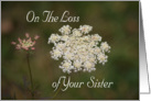 Loss of Sister, Sympathy, Queen Anne’s Lace card