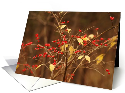 Fall Berries card (540855)
