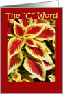 For Cancer Patients, Bright Coleus card