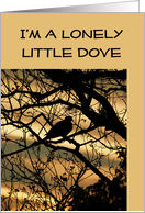 Missing You, Lonely Dove card