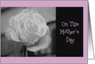 On Mother’s Day, black & white rose card