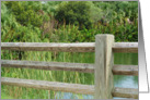 Scenic Lake View with Fence card