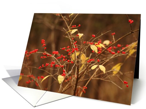 Autumn's Red Berries card (562507)