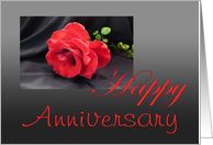 Anniversary, Red rose on black card