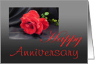 Anniversary, Red rose on black card