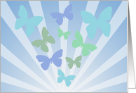 Pastel butterflies on sunrays card