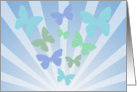 Colorful butterflies with sunburst. card