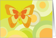 Orange & yellow Butterfly on bright circles card