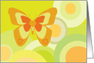 Orange & yellow Butterfly on bright circles card
