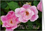 ’C’ Word, cancer recovery, pink roses card