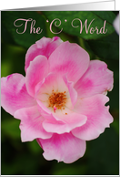 ’C’ Word, cancer recovery, pink rose card